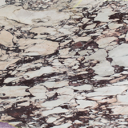 Calacatta Viola Slab View